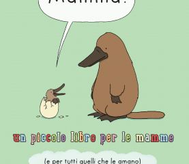 Il piccolo, meraviglioso mondo di Liz Climo