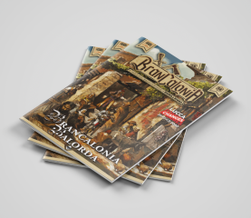 Gioco di Ruolo: Brancalonia Balorda
