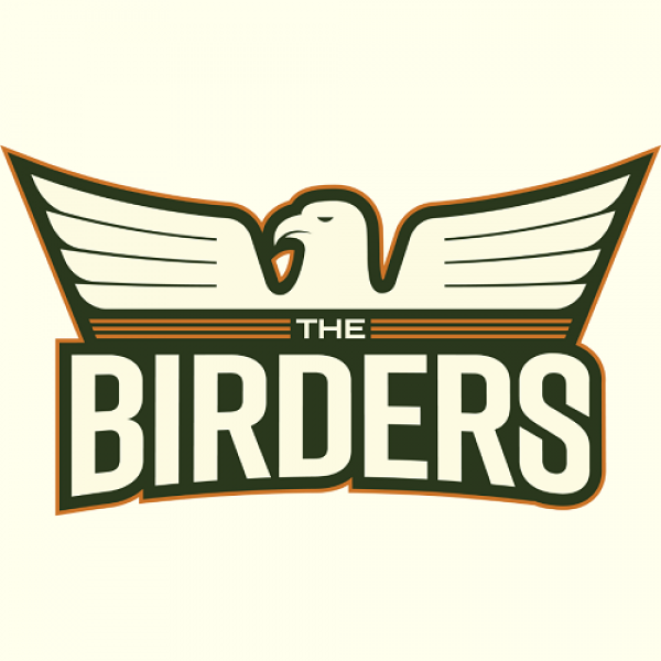 Unreal Engine per lo sviluppo di videogames: il case study di "THE BIRDERS"