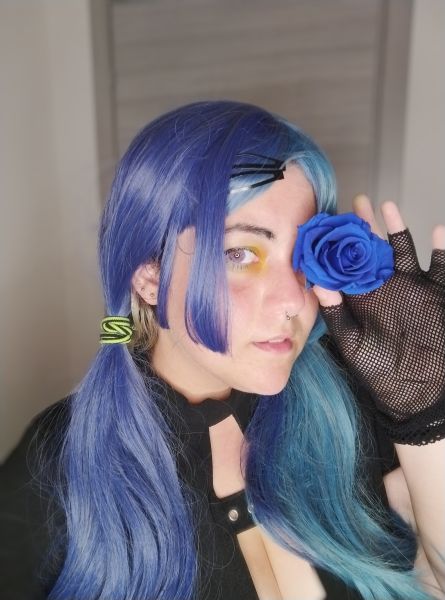 Tori