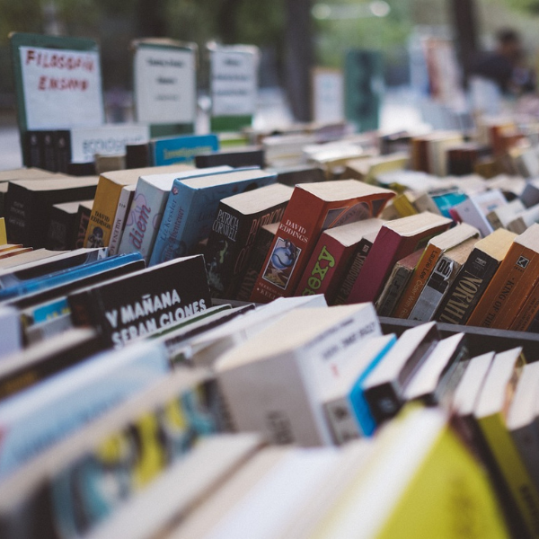 Io non farò mai libri!