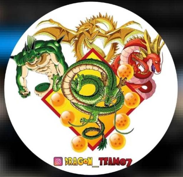 Dragon Team07
